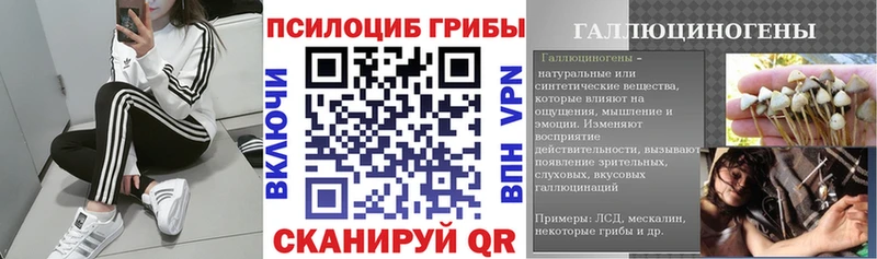 Псилоцибиновые грибы Magic Shrooms  ссылка на мегу ТОР  Находка 