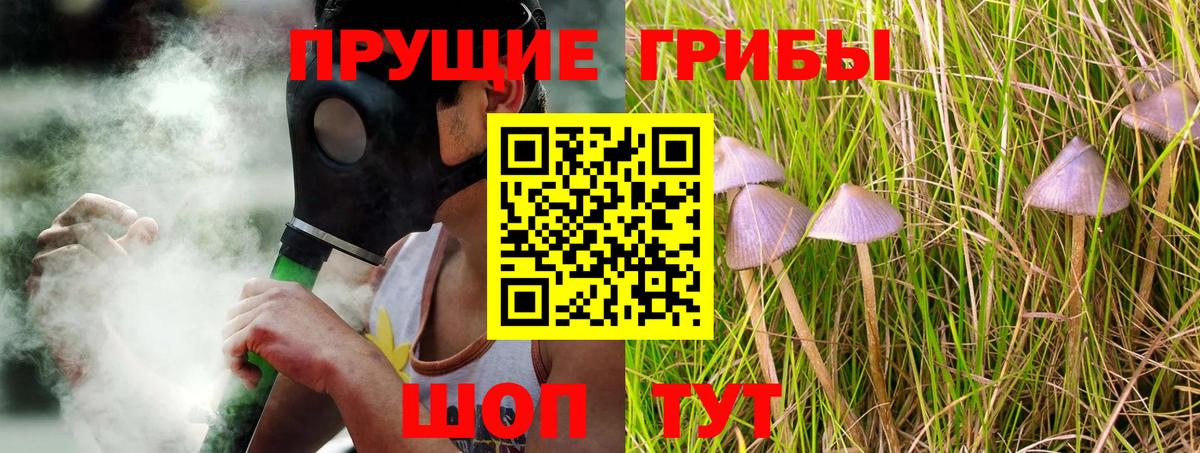 Галлюциногенные грибы Psilocybe  хочу наркоту  Находка  Вход с VPN 